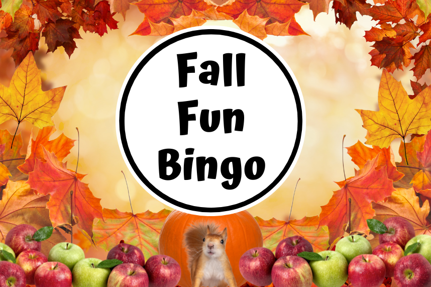 Fall Fun Bingo