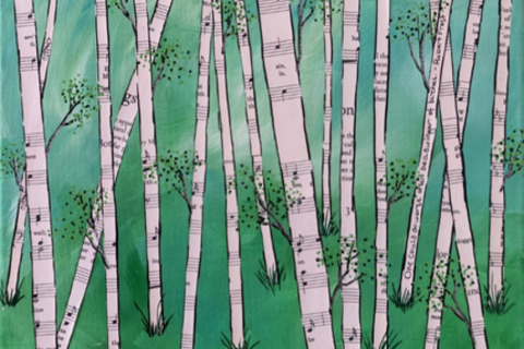 birch trees