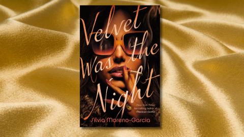 Velvet Was the Night book cover