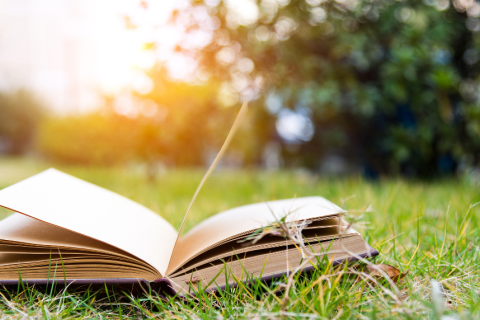 book on the grass outside