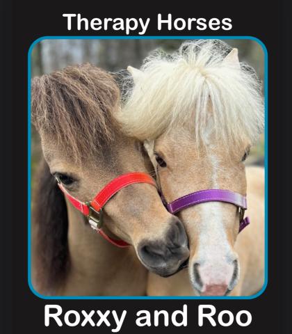 a brown and beige colored miniatrure therapy horse