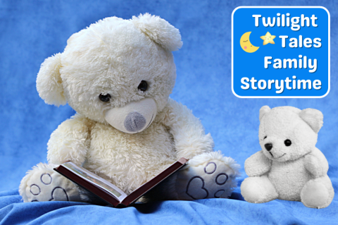 two white teddy bears reading a book together