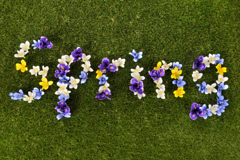 Spring spelled out in flowers