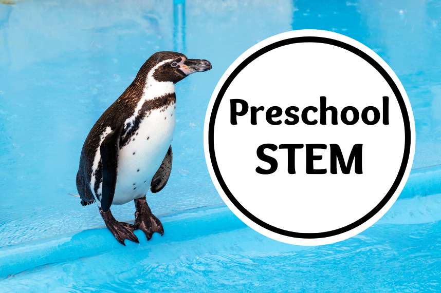 Preschool STEM