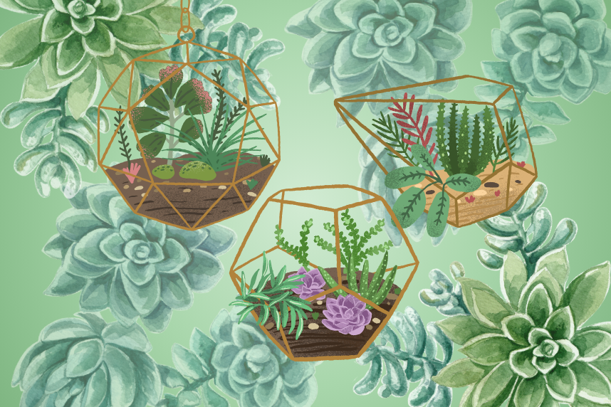 Felt Terrariums