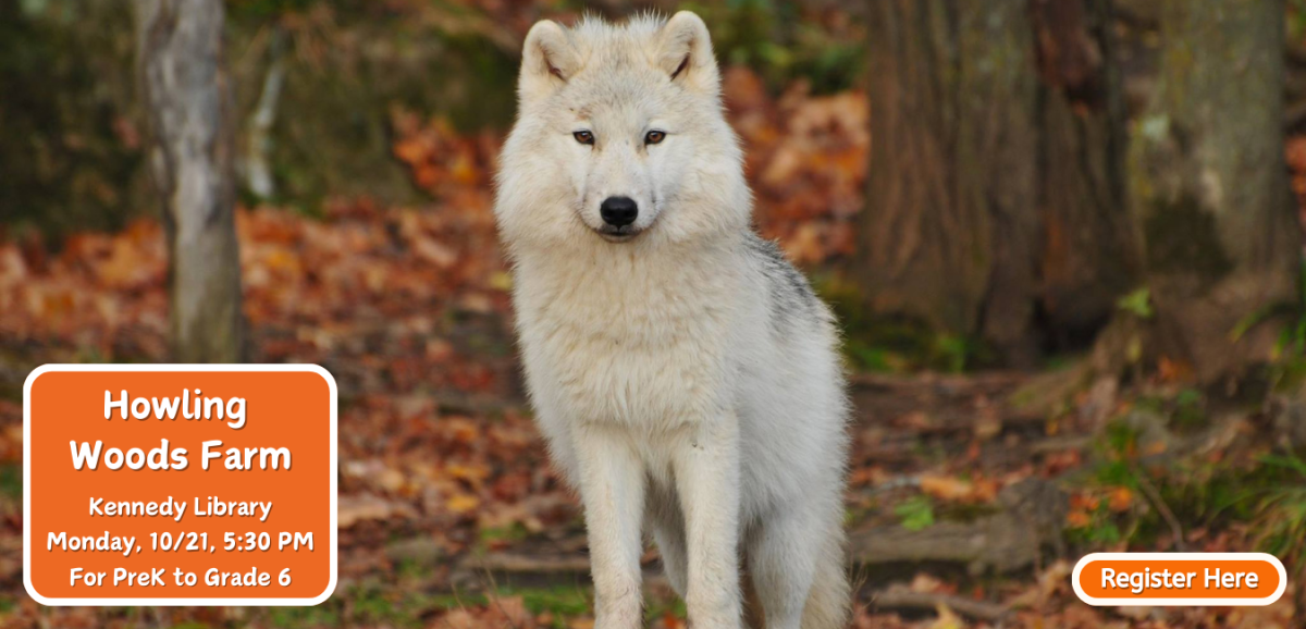 white wolf dog standing in the woods